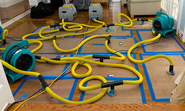 Professional Flood Damage Restoration technician working in Asher, OK